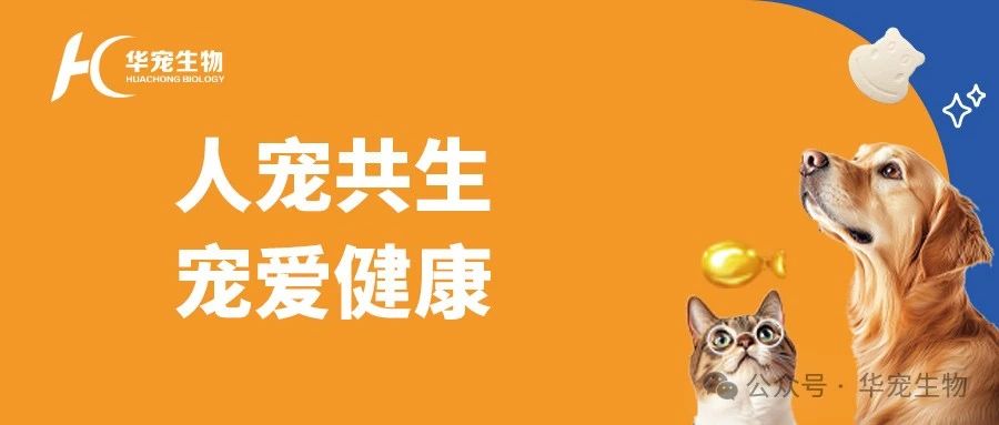 微信图片_20250321110152.jpg