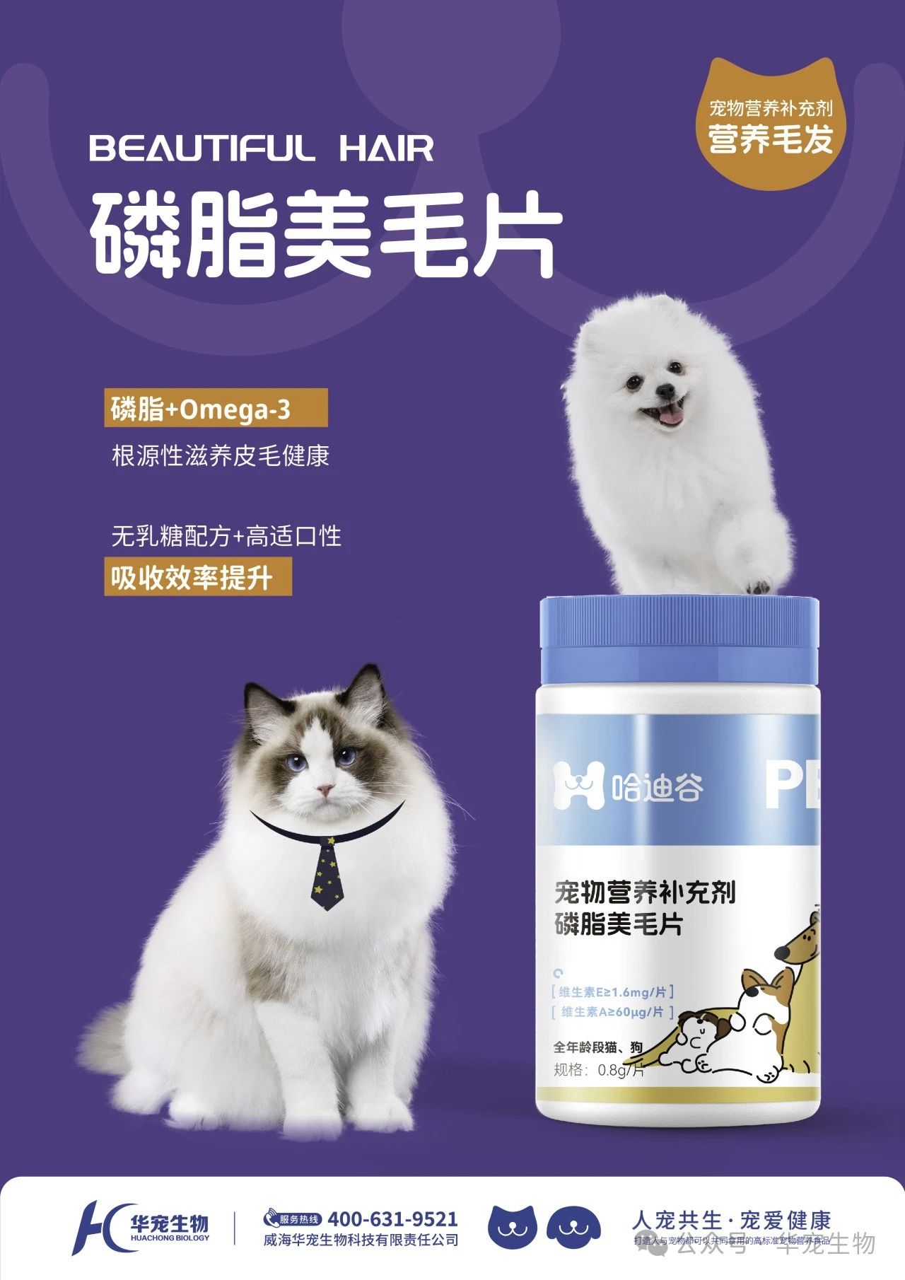 微信图片_20250321110218.jpg