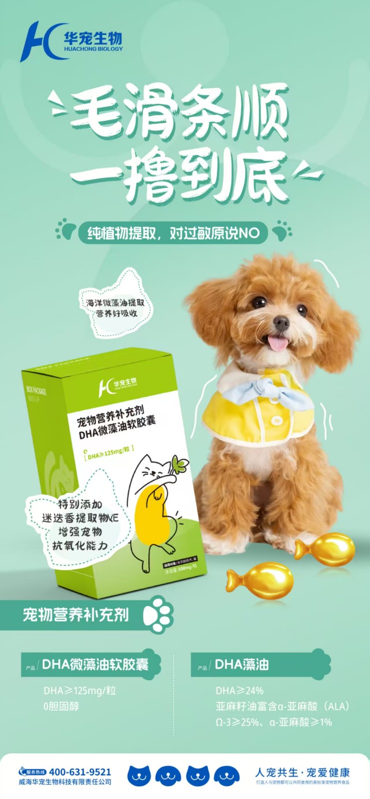 DHA微藻油软胶囊.jpg